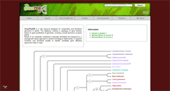 Desktop Screenshot of greenphyl.org